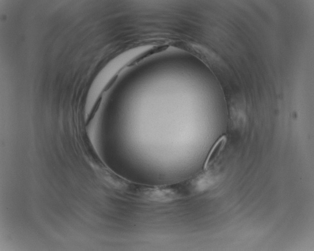 X0000077380379200611031942