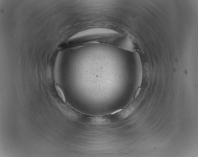 X0000077380380200611031942