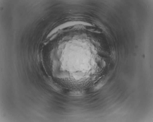 X0000077380381200611031942