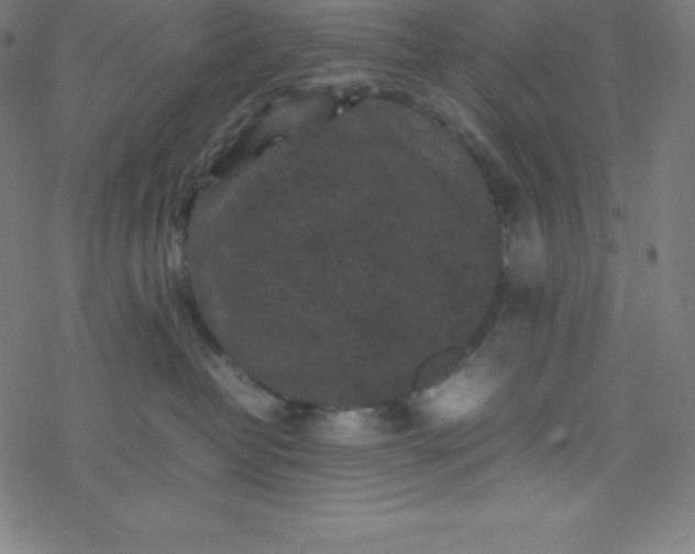 X0000077380382200611031942