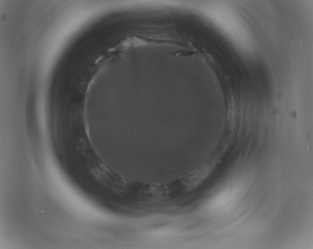 X0000077380383200611031942