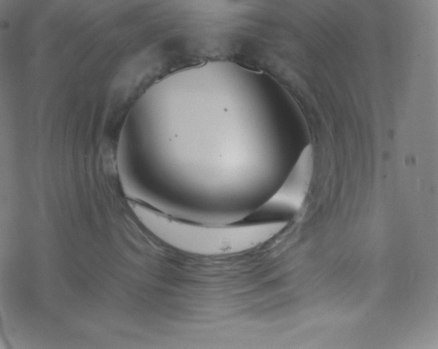 X0000077380384200611031942