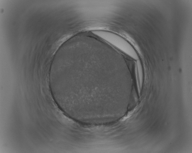 X0000077380385200611031942