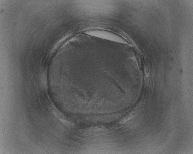 X0000077380386200611031942