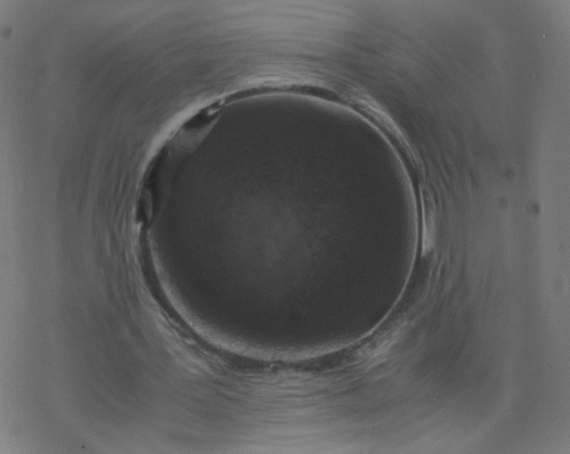 X0000077380387200611031942