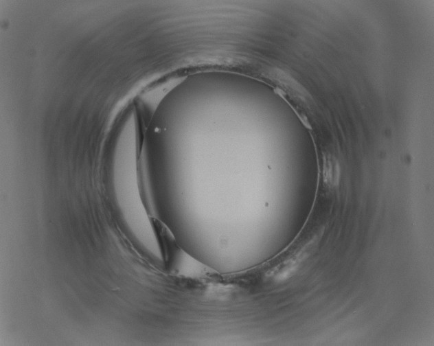 X0000077380388200611031942