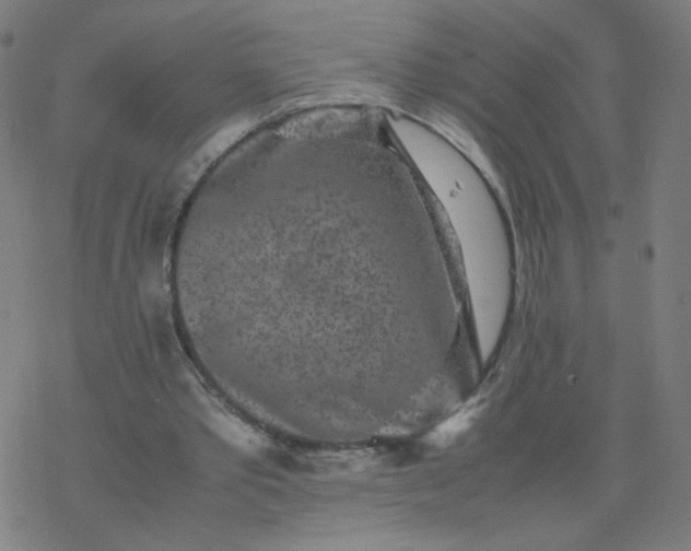 X0000077380389200611031942