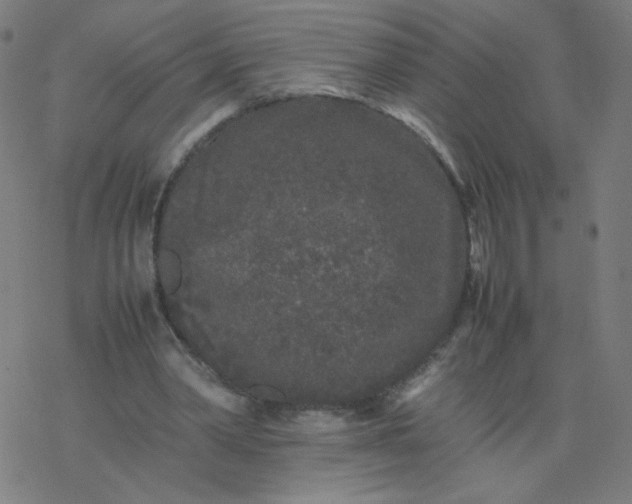 X0000077380390200611031942