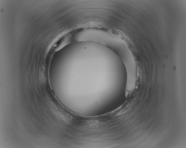 X0000077380392200611031942