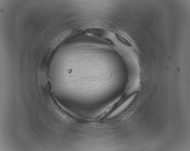 X0000077380393200611031942