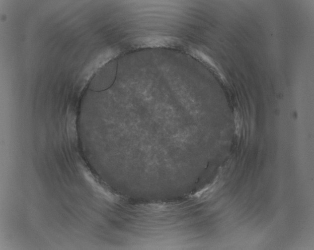 X0000077380394200611031942