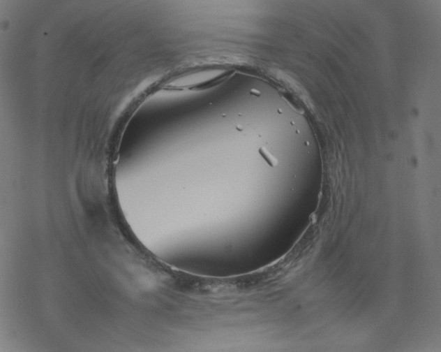 X0000077380395200611031941