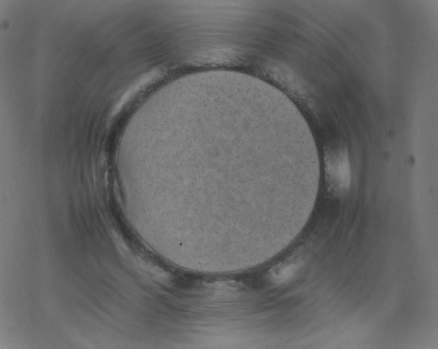 X0000077380396200611031941