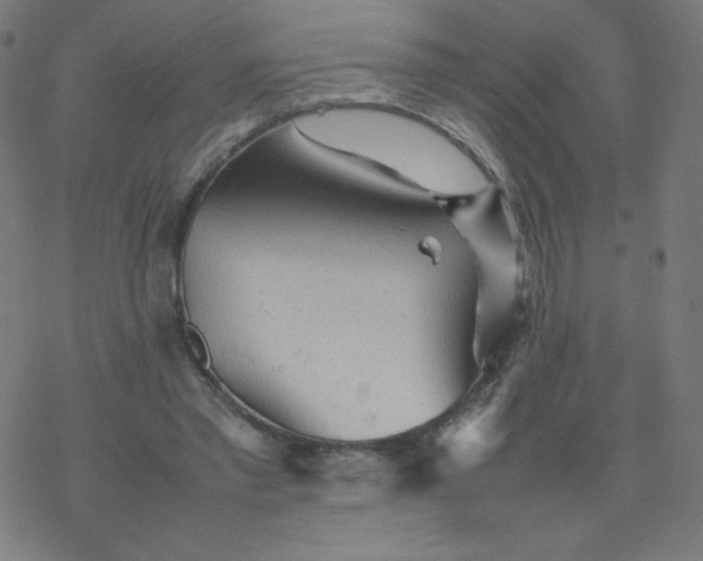 X0000077380397200611031941