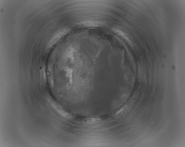 X0000077380398200611031941