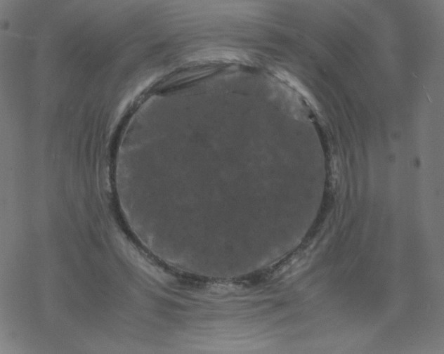 X0000077380399200611031941