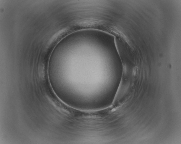 X0000077380400200611031941