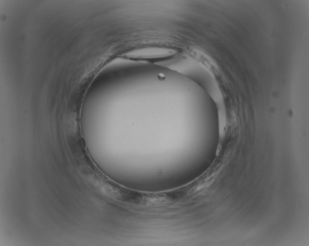 X0000077380401200611031941