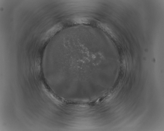 X0000077380402200611031941