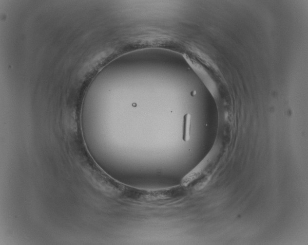 X0000077380403200611031941