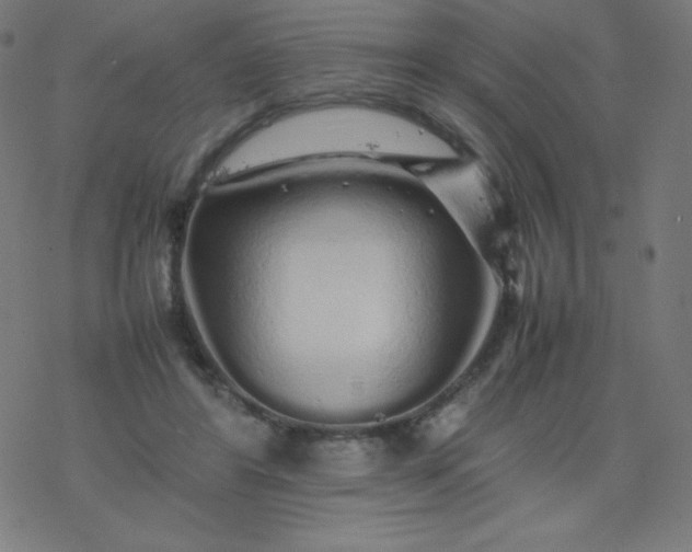 X0000077380404200611031941