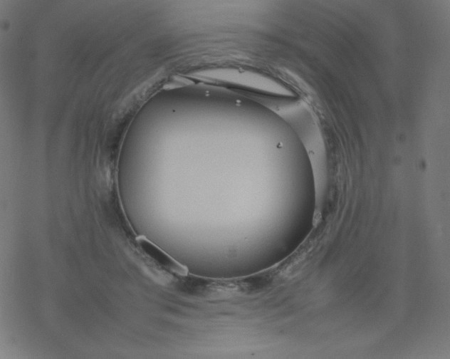 X0000077380405200611031941