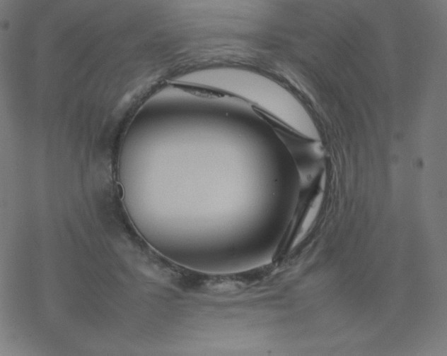 X0000077380407200611031941