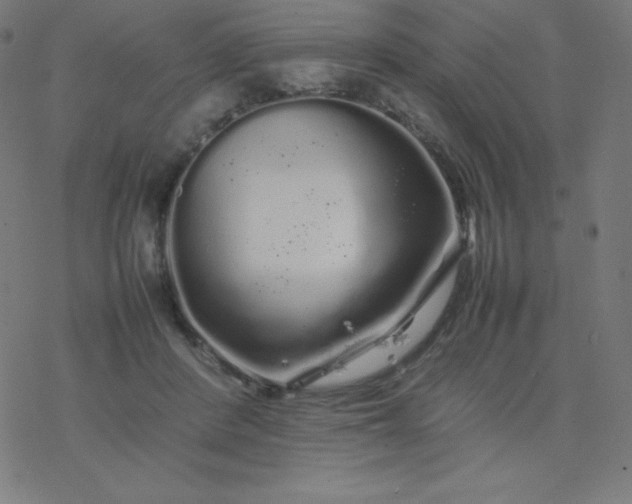 X0000077380408200611031941