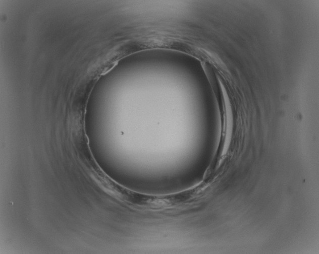 X0000077380409200611031941