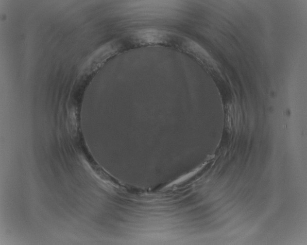 X0000077380410200611031941