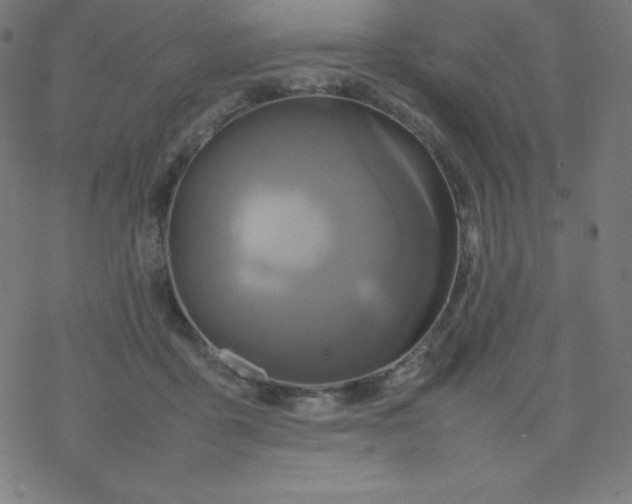 X0000077380411200611031941