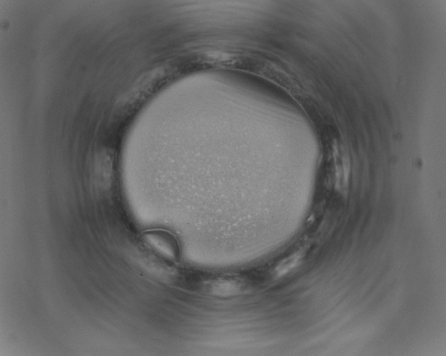 X0000077380412200611031941