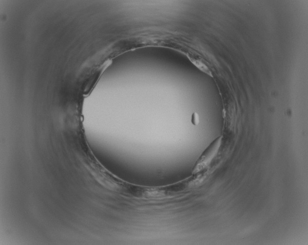 X0000077380413200611031941