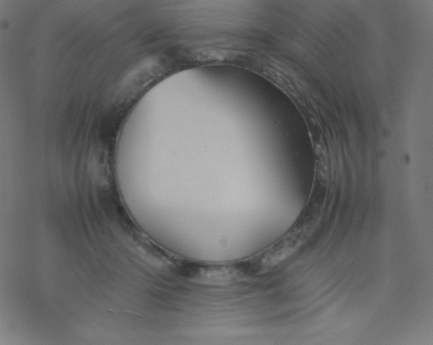 X0000077380414200611031941