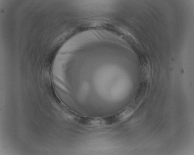 X0000077380415200611031941