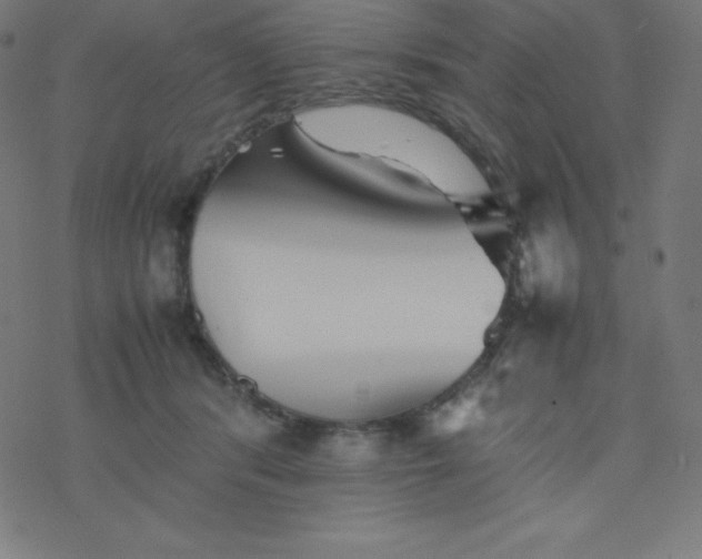 X0000077380416200611031941