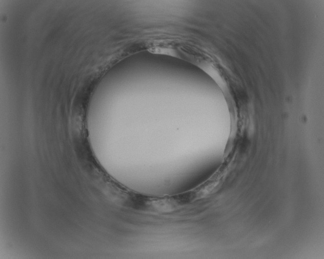 X0000077380417200611031941