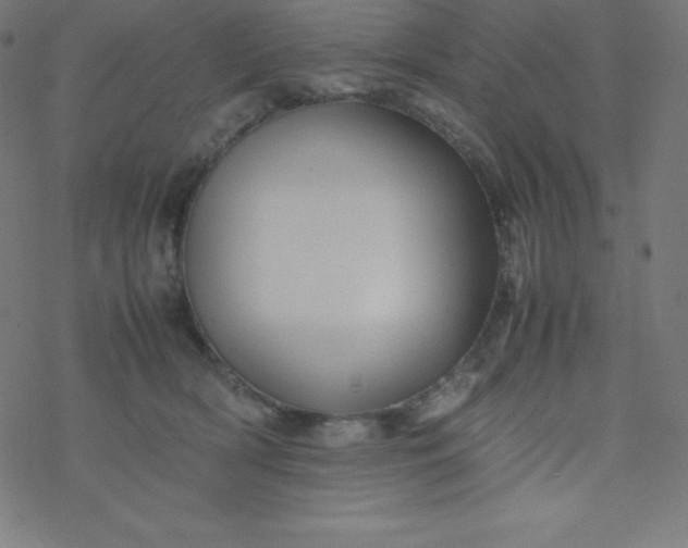 X0000077380418200611031941