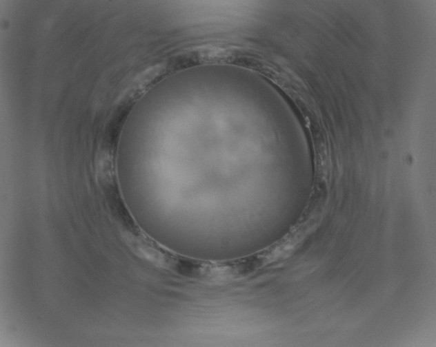 X0000077380419200611031941