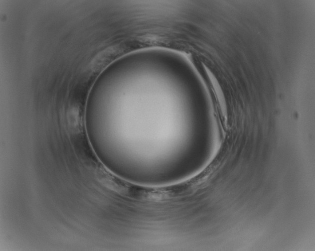 X0000077380420200611031941