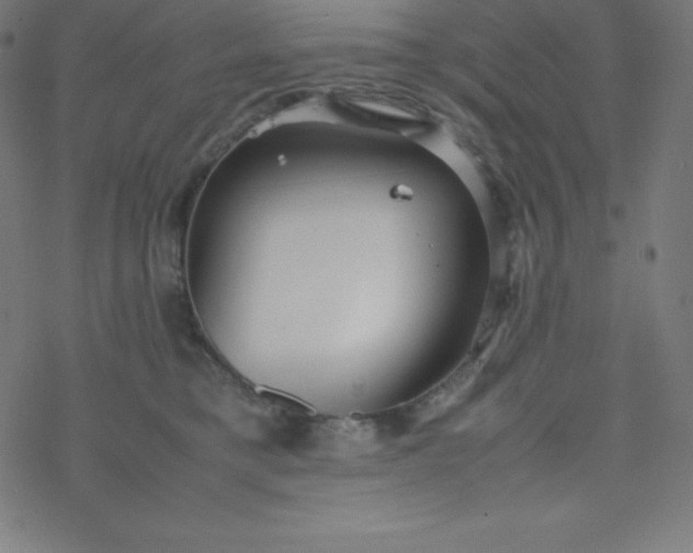 X0000077380421200611031941