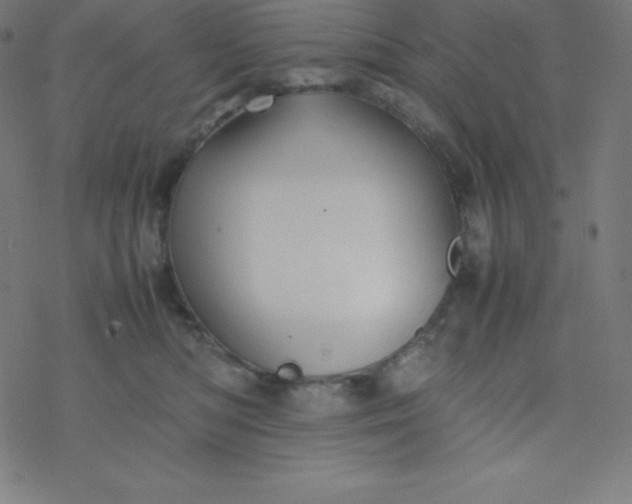 X0000077380422200611031941