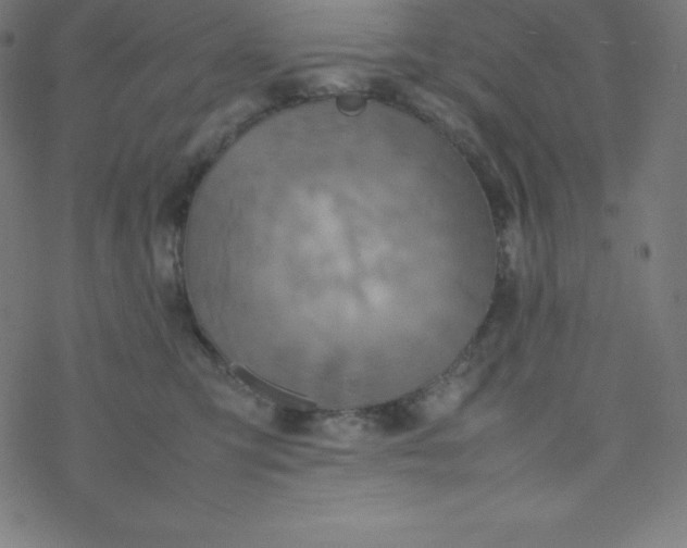 X0000077380423200611031941