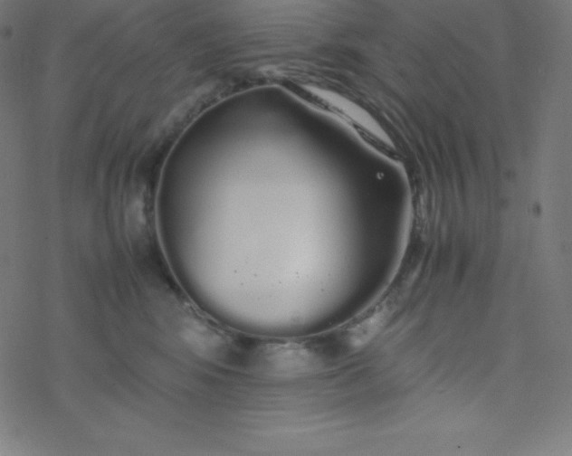 X0000077380424200611031941