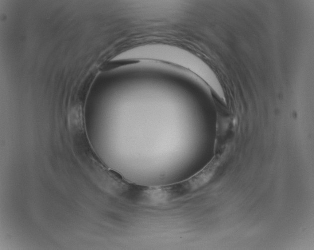 X0000077380425200611031941