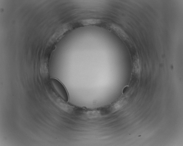 X0000077380426200611031941