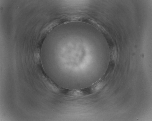 X0000077380427200611031941