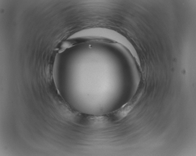 X0000077380428200611031941