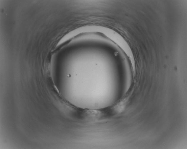 X0000077380429200611031941