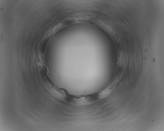 X0000077380430200611031941